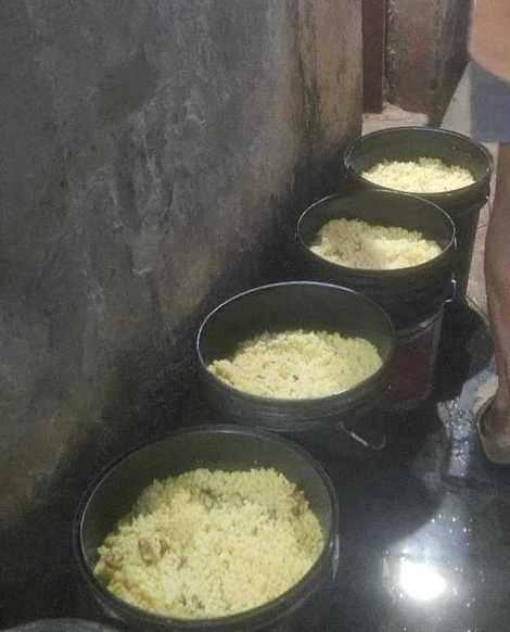 Feeding 500 Stray Dogs